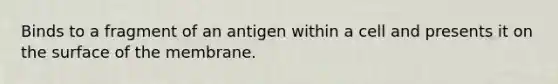 Binds to a fragment of an antigen within a cell and presents it on the surface of the membrane.