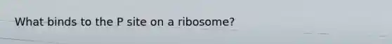 What binds to the P site on a ribosome?