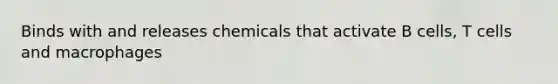 Binds with and releases chemicals that activate B cells, T cells and macrophages