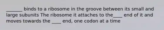 _______ binds to a ribosome in the groove between its small and large subunits The ribosome it attaches to the____ end of it and moves towards the ____ end, one codon at a time