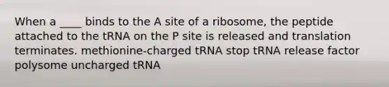 When a ____ binds to the A site of a ribosome, the peptide attached to the tRNA on the P site is released and translation terminates. methionine-charged tRNA stop tRNA release factor polysome uncharged tRNA