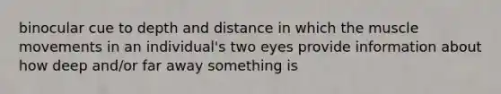 binocular cue to depth and distance in which the muscle movements in an individual's two eyes provide information about how deep and/or far away something is