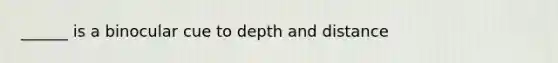 ______ is a binocular cue to depth and distance