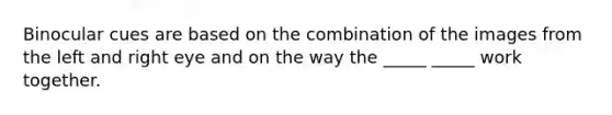 Binocular cues are based on the combination of the images from the left and right eye and on the way the _____ _____ work together.
