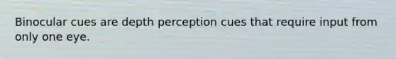 Binocular cues are depth perception cues that require input from only one eye.