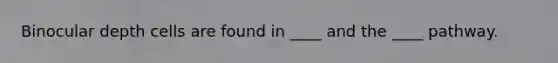 Binocular depth cells are found in ____ and the ____ pathway.