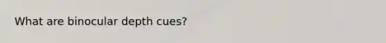 What are binocular depth cues?