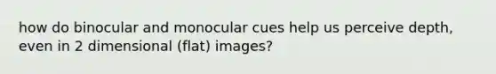 how do binocular and monocular cues help us perceive depth, even in 2 dimensional (flat) images?