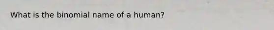 What is the binomial name of a human?