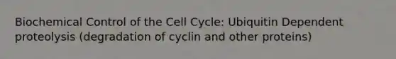 Biochemical Control of the <a href='https://www.questionai.com/knowledge/keQNMM7c75-cell-cycle' class='anchor-knowledge'>cell cycle</a>: Ubiquitin Dependent proteolysis (degradation of cyclin and other proteins)