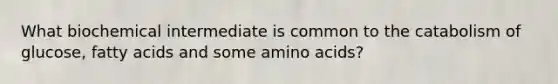What biochemical intermediate is common to the catabolism of glucose, fatty acids and some amino acids?