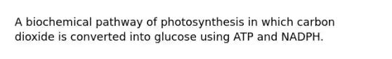 A biochemical pathway of photosynthesis in which carbon dioxide is converted into glucose using ATP and NADPH.