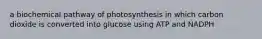 a biochemical pathway of photosynthesis in which carbon dioxide is converted into glucose using ATP and NADPH