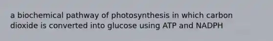 a biochemical pathway of photosynthesis in which carbon dioxide is converted into glucose using ATP and NADPH