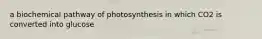 a biochemical pathway of photosynthesis in which CO2 is converted into glucose