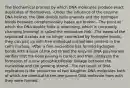 The biochemical process by which DNA molecules produce exact duplicates of themselves. -Under the influence of the enzyme DNA helices, the DNA double helix unwinds and the hydrogen bonds between complementary bases are broken. -The point at which the DNA double helix is unwinding, which is constantly changing (moving) is called the replication fork. -The bases of the separated strands are no longer connected by hydrogen bonds, they can pair up with free individual nucleotides present in the cell's nucleus. -After a free nucleotide has formed hydrogen bonds with a base of the old strand the enzyme DNA polymerase verifies that the base pairing is correct and then catalyzes the formation of a new phosphatediester linkage between the nucleotide and the growing strand. -The net result of DNA replication is the production of two daughter DNA molecules both of which are identical to the one parent DNA molecule from with they were formed.