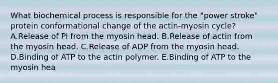 What biochemical process is responsible for the "power stroke" protein conformational change of the actin-myosin cycle? A.Release of Pi from the myosin head. B.Release of actin from the myosin head. C.Release of ADP from the myosin head. D.Binding of ATP to the actin polymer. E.Binding of ATP to the myosin hea