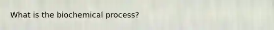 What is the biochemical process?