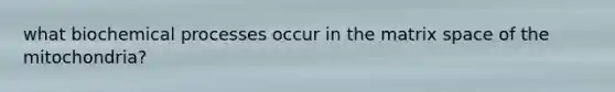 what biochemical processes occur in the matrix space of the mitochondria?
