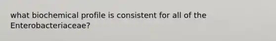 what biochemical profile is consistent for all of the Enterobacteriaceae?