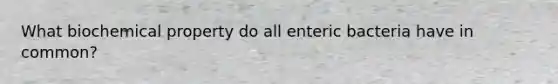 What biochemical property do all enteric bacteria have in common?