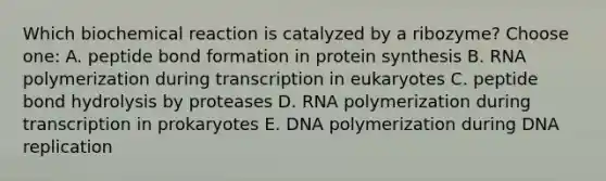 Which biochemical reaction is catalyzed by a ribozyme? Choose one: A. peptide bond formation in protein synthesis B. RNA polymerization during transcription in eukaryotes C. peptide bond hydrolysis by proteases D. RNA polymerization during <a href='https://www.questionai.com/knowledge/krSNCrF0wC-transcription-in-prokaryotes' class='anchor-knowledge'>transcription in prokaryotes</a> E. DNA polymerization during <a href='https://www.questionai.com/knowledge/kofV2VQU2J-dna-replication' class='anchor-knowledge'>dna replication</a>