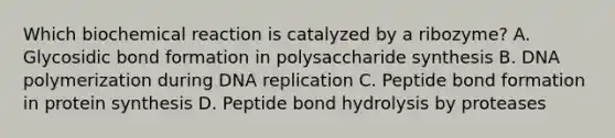 Which biochemical reaction is catalyzed by a ribozyme? A. Glycosidic bond formation in polysaccharide synthesis B. DNA polymerization during DNA replication C. Peptide bond formation in protein synthesis D. Peptide bond hydrolysis by proteases