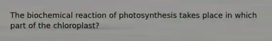 The biochemical reaction of photosynthesis takes place in which part of the chloroplast?