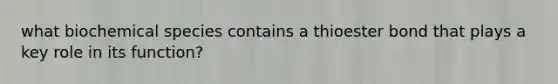 what biochemical species contains a thioester bond that plays a key role in its function?