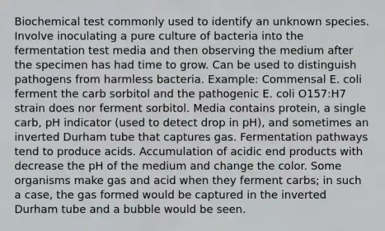 Biochemical test commonly used to identify an unknown species. Involve inoculating a pure culture of bacteria into the fermentation test media and then observing the medium after the specimen has had time to grow. Can be used to distinguish pathogens from harmless bacteria. Example: Commensal E. coli ferment the carb sorbitol and the pathogenic E. coli O157:H7 strain does nor ferment sorbitol. Media contains protein, a single carb, pH indicator (used to detect drop in pH), and sometimes an inverted Durham tube that captures gas. Fermentation pathways tend to produce acids. Accumulation of acidic end products with decrease the pH of the medium and change the color. Some organisms make gas and acid when they ferment carbs; in such a case, the gas formed would be captured in the inverted Durham tube and a bubble would be seen.