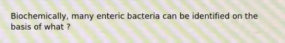 Biochemically, many enteric bacteria can be identified on the basis of what ?