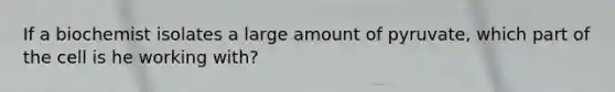 If a biochemist isolates a large amount of pyruvate, which part of the cell is he working with?