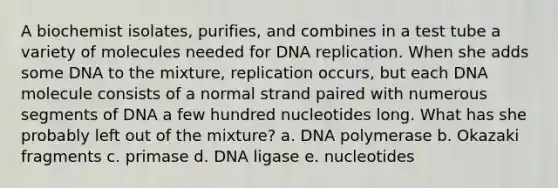 A biochemist isolates, purifies, and combines in a test tube a variety of molecules needed for DNA replication. When she adds some DNA to the mixture, replication occurs, but each DNA molecule consists of a normal strand paired with numerous segments of DNA a few hundred nucleotides long. What has she probably left out of the mixture? a. DNA polymerase b. Okazaki fragments c. primase d. DNA ligase e. nucleotides