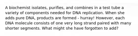 A biochemist isolates, purifies, and combines in a test tube a variety of components needed for DNA replication. When she adds pure DNA, products are formed - hurray! However, each DNA molecule consists of one very long strand paired with many shorter segments. What might she have forgotten to add?