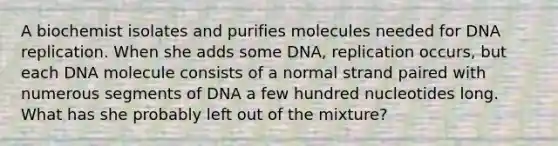 A biochemist isolates and purifies molecules needed for DNA replication. When she adds some DNA, replication occurs, but each DNA molecule consists of a normal strand paired with numerous segments of DNA a few hundred nucleotides long. What has she probably left out of the mixture?