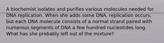 A biochemist isolates and purifies various molecules needed for <a href='https://www.questionai.com/knowledge/kofV2VQU2J-dna-replication' class='anchor-knowledge'>dna replication</a>. When she adds some DNA, replication occurs, but each DNA molecule consists of a normal strand paired with numerous segments of DNA a few hundred nucleotides long. What has she probably left out of the mixture?