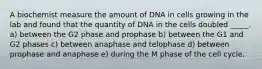 A biochemist measure the amount of DNA in cells growing in the lab and found that the quantity of DNA in the cells doubled _____. a) between the G2 phase and prophase b) between the G1 and G2 phases c) between anaphase and telophase d) between prophase and anaphase e) during the M phase of the cell cycle.