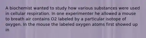 A biochemist wanted to study how various substances were used in cellular respiration. In one experimenter he allowed a mouse to breath air contains O2 labeled by a particular isotope of oxygen. In the mouse the labeled oxygen atoms first showed up in