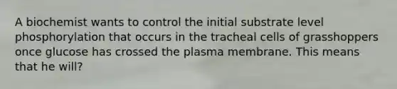 A biochemist wants to control the initial substrate level phosphorylation that occurs in the tracheal cells of grasshoppers once glucose has crossed the plasma membrane. This means that he will?