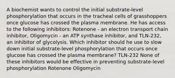 A biochemist wants to control the initial substrate-level phosphorylation that occurs in the tracheal cells of grasshoppers once glucose has crossed the plasma membrane. He has access to the following inhibitors: Rotenone - an electron transport chain inhibitor, Oligomycin - an ATP synthase inhibitor, and TLN-232, an inhibitor of glycolysis. Which inhibitor should he use to slow down initial substrate-level phosphorylation that occurs once glucose has crossed the plasma membrane? TLN-232 None of these inhibitors would be effective in preventing substrate-level phosphorylation Rotenone Oligomycin