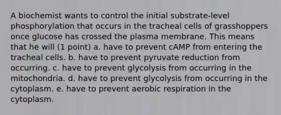 A biochemist wants to control the initial substrate-level phosphorylation that occurs in the tracheal cells of grasshoppers once glucose has crossed the plasma membrane. This means that he will (1 point) a. have to prevent cAMP from entering the tracheal cells. b. have to prevent pyruvate reduction from occurring. c. have to prevent glycolysis from occurring in the mitochondria. d. have to prevent glycolysis from occurring in the cytoplasm. e. have to prevent aerobic respiration in the cytoplasm.