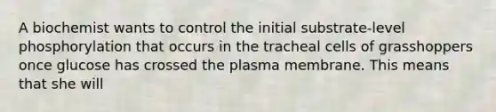 A biochemist wants to control the initial substrate-level phosphorylation that occurs in the tracheal cells of grasshoppers once glucose has crossed the plasma membrane. This means that she will