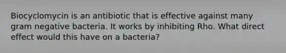 Biocyclomycin is an antibiotic that is effective against many gram negative bacteria. It works by inhibiting Rho. What direct effect would this have on a bacteria?