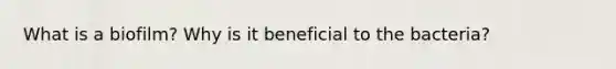 What is a biofilm? Why is it beneficial to the bacteria?