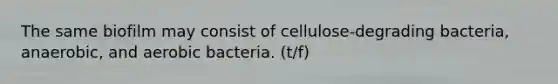 The same biofilm may consist of cellulose-degrading bacteria, anaerobic, and aerobic bacteria. (t/f)