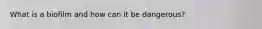 What is a biofilm and how can it be dangerous?