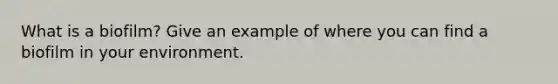 What is a biofilm? Give an example of where you can find a biofilm in your environment.