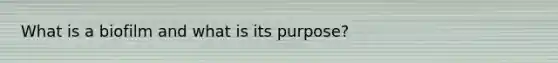 What is a biofilm and what is its purpose?