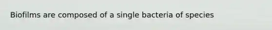 Biofilms are composed of a single bacteria of species