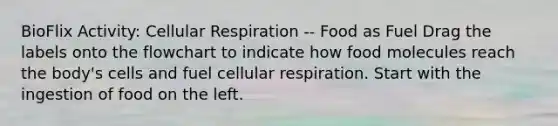 BioFlix Activity: Cellular Respiration -- Food as Fuel Drag the labels onto the flowchart to indicate how food molecules reach the body's cells and fuel cellular respiration. Start with the ingestion of food on the left.